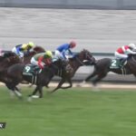 【中日新聞杯2022】出走予定馬・騎手/伏兵の健闘目立つ