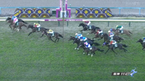 【京都2歳S】グランヴィノスとは何だったのか