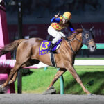 【競馬予想】[3]第23回チャンピオンズカップ(GI) /2022