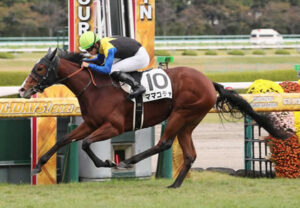 【ターコイズS】ママコチャとはなんだったのか