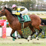 【競馬予想】第73回チャレンジカップ(GIII) /2022