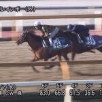 【カペラステークス2022】追い切り/追い切りが結果につながる