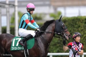 ファストフォースとかいう高速馬場専用機