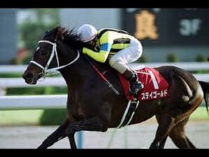 成功種牡馬になったけれど後継が失敗種牡馬ばかりって馬と言えば?
