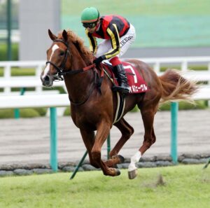 負けたけど強いなと思ったレース