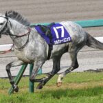 2022年印象に残った競馬に関する事