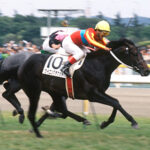 柴田政人のお手馬で好きだった馬は?