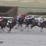 【根岸ステークス2023】出走予定馬・騎手/更なる高みへ