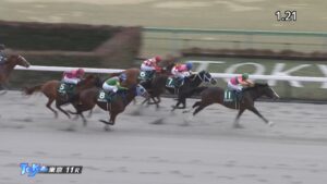 【根岸ステークス2023】出走予定馬・騎手/更なる高みへ