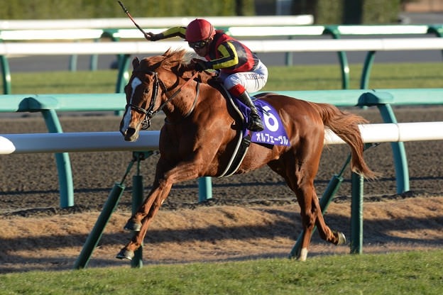 マクって9馬身ちぎったオルフェーヴル