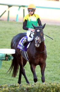 タイトルホルダーの有馬記念惨敗は凱旋門賞の疲れがとれていなかった?