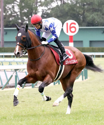 【日経新春杯】ロバートソンキー伊藤工真 1人気で重賞初勝利ならず