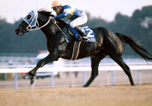 ダイタクヘリオス「昔はスプリンターズから有馬記念へ連闘というのもあったんだよ」