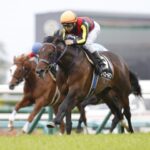 ディープ牡馬歴代最強ってフィエールマン48でいいよな?