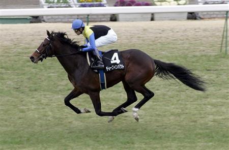 凱旋門賞帰りにJCと有馬を連勝したディープインパクトってタフすぎるな