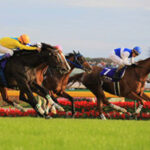 勝ち馬以上に評価された2着馬と言えば?