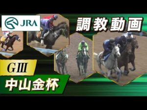 【調教動画】2023年 中山金杯|JRA公式