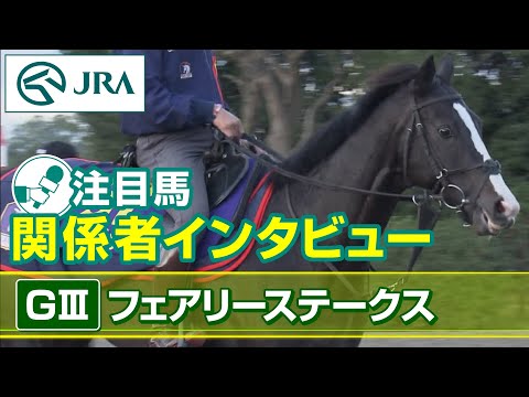 【注目馬 関係者インタビュー】2023年 フェアリーステークス｜JRA公式