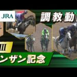 【調教動画】2023年 シンザン記念|JRA公式