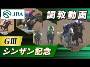 【調教動画】2023年 シンザン記念|JRA公式