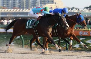 【競馬予想】[1]第37回根岸ステークス(GIII) /2023