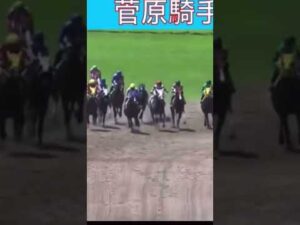 赤枠同士でぶつかって落馬してしまう