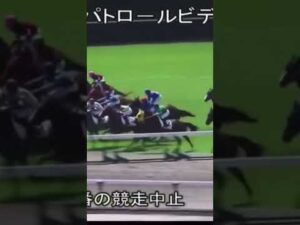 スタートして勢いに乗ったところで落馬してしまう