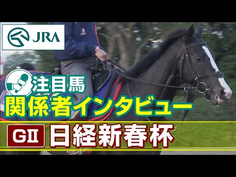 【注目馬 関係者インタビュー】2023年 日経新春杯｜JRA公式