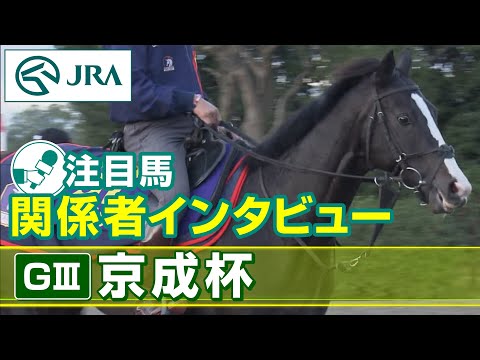 【注目馬 関係者インタビュー】2023年 京成杯｜JRA公式
