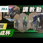 【調教動画】2023年 京成杯|JRA公式