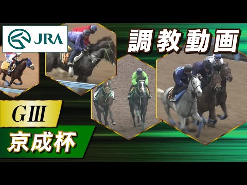 【調教動画】2023年 京成杯｜JRA公式