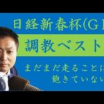 《日経新春杯 調教ベスト3》調教が最も良かった馬は?競馬エイト・高橋賢司トラックマンが解説