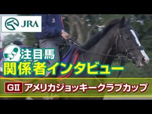 【注目馬 関係者インタビュー】2023年 アメリカジョッキークラブカップ|JRA公式