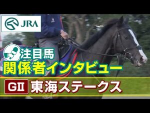 【注目馬 関係者インタビュー】2023年 東海ステークス|JRA公式