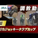 【調教動画】2023年 アメリカジョッキークラブカップ|JRA公式