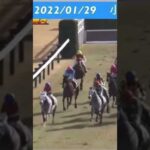 飛越できず倒れてしまう人気馬