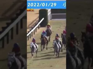 飛越できず倒れてしまう人気馬