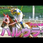 【競馬】高知のアイドルホース ハルウララの末路