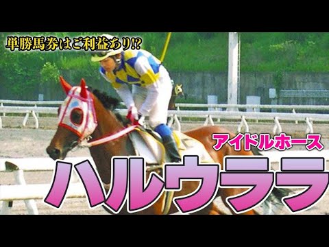 【競馬】高知のアイドルホース ハルウララの末路