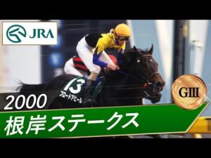 2000年 根岸ステークス（GⅢ） | ブロードアピール | JRA公式