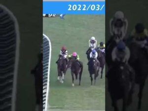 最後の直前で柵にぶつかり落馬してしまう