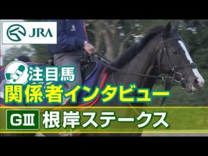 【注目馬 関係者インタビュー】2023年 根岸ステークス｜JRA公式