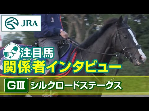 【注目馬 関係者インタビュー】2023年 シルクロードステークス｜JRA公式