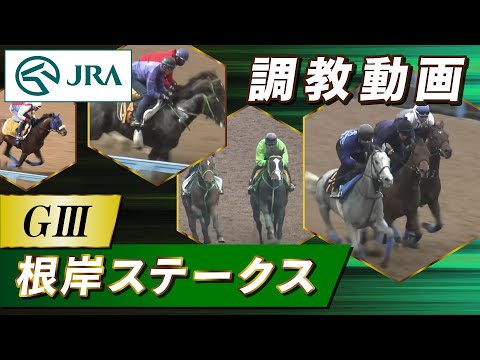 【調教動画】2023年 根岸ステークス｜JRA公式