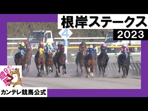 2023年 根岸ステークス(GⅢ) 【カンテレ公式】