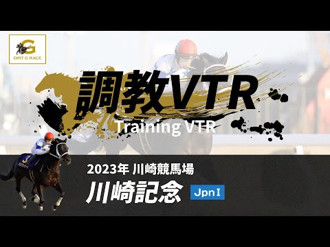 調教VTR｜2023年 川崎記念 JpnI｜NAR公式