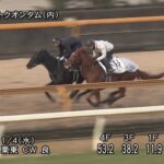 【シンザン記念2023】追い切り/追い切りが結果につながる