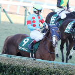 14着エナジーチャイム、ルメール「メンバーが強かった。自己条件ならもう少しやれる」