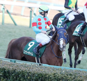 14着エナジーチャイム、ルメール「メンバーが強かった。自己条件ならもう少しやれる」