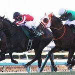【中山金杯】ラーグルフがハナ差接戦制す!重賞初制覇